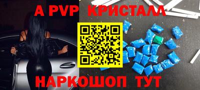 индика Кингисепп