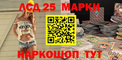 индика Кингисепп