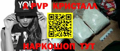 индика Кингисепп