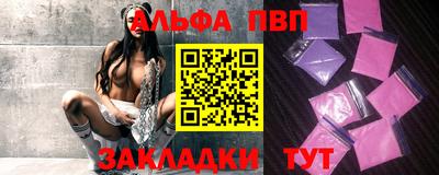 индика Кингисепп