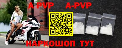 индика Кингисепп