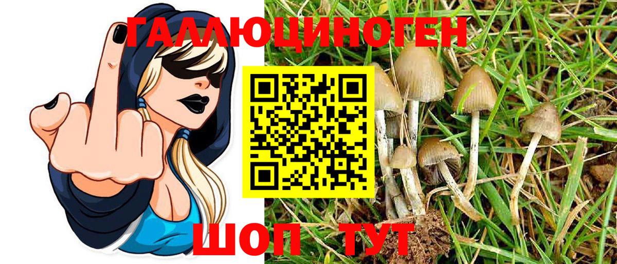 Псилоцибиновые грибы Cubensis Урюпинск