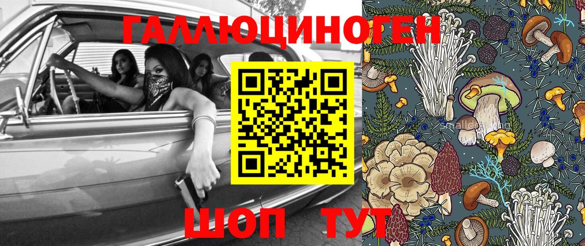Псилоцибиновые грибы GOLDEN TEACHER  Вход с VPN  Урюпинск 